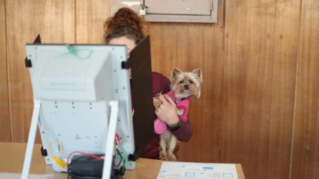 Дезинформация и социални мрежи: Как премина предизборната кампания?