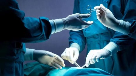 Мъж почина заразен от бяс след бъбречна трансплантация