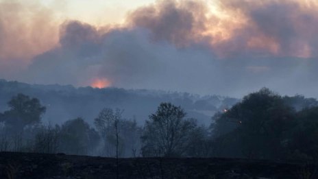 Пожар избухна на Витоша в близост до хижа "Момина скала"