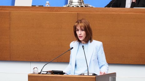 Нейкова за гласуването в чужбина: Това е политическо решение