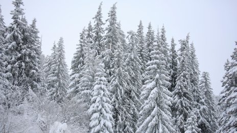 Добри са условия за туризъм в планините