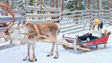  Полиция, брегова охрана и морски пехотинци издирваха северен елен