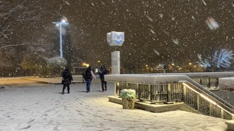 В кадър: В София заваля сняг 