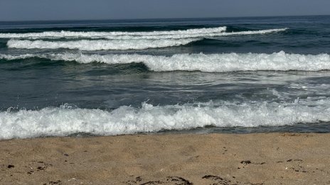 Стряскащо: Изплуваха трупове във Варна и Поморие тази сутрин