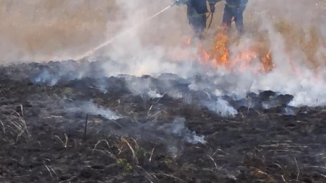 Пожар изпепели стопанска постройка и животни във Видинско