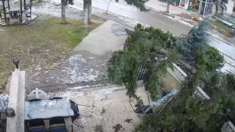 Силен вятър събори дървета и нанесе щети във Враца ВИДЕО