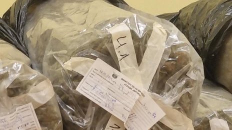 Откриха 8 кг марихуана и кокаин в блок в Бургас