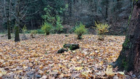Студ в събота, валежите продължават на много места