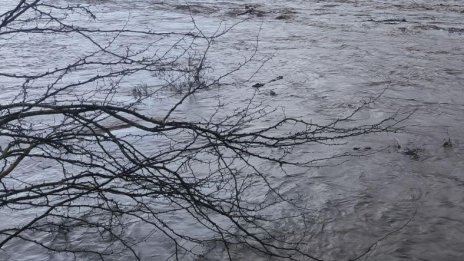 Вода от рудник е замърсила река Маданска