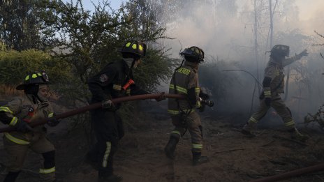 Бедствено положение в Чили, горските пожари взеха 16 жертви