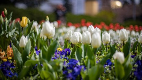 Слънчево време утре, минусови температури на места сутринта