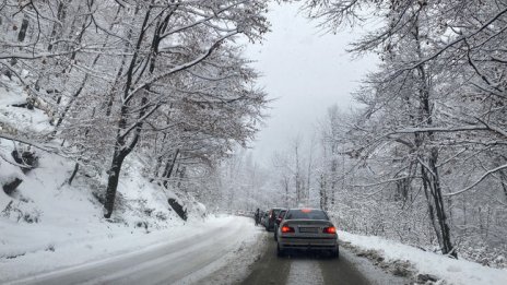 Оранжев код за днес: Обилен сняг и виелици в почти цялата страна 