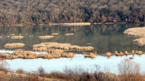 Обявиха нова защитена територия край река Студена 