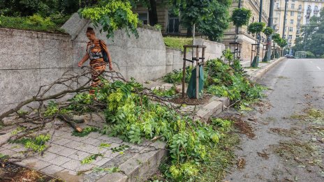 Летни бури в голяма част от страната: Наводнени улици, паднали дървета, сигнали за инциденти ВИДЕО