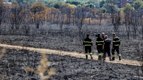Италианските власти евакуираха хиляди заради горски пожар в Тоскана