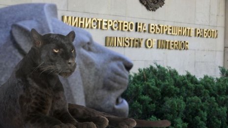 ВМРО: Държавата не може да хване една полудива котка, но ще ни пази от бандитите