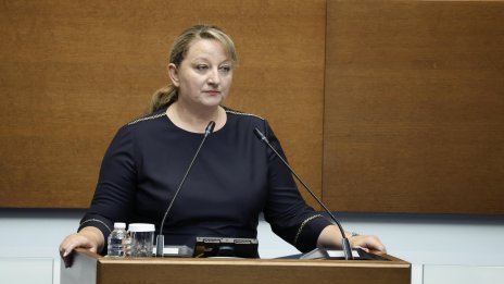 Сачева сезира Съвета на Европа за случая "Ива Михайлова"