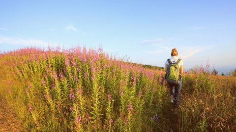 Слънцето преминава в Овен - как ще се отрази на вашата зодия?
