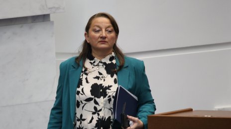 Сачева: С вотовете на недоверие се губи парламентарно време