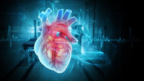 Кардиолог съветва какво да избягваме за здраво сърце