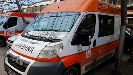 Домашно куче нахапа дете и две жени във Великотърновско