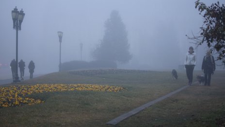 Времето в петък: Мъгливо в равнините, над планините - слънце