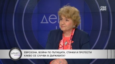 Плугчиева с оценка: Влизаме в Еврозоната в най-неподходящия момент