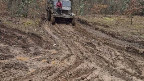 Историческата местност Петрова нива е превърната в дърводобивен терен, алармира кмет