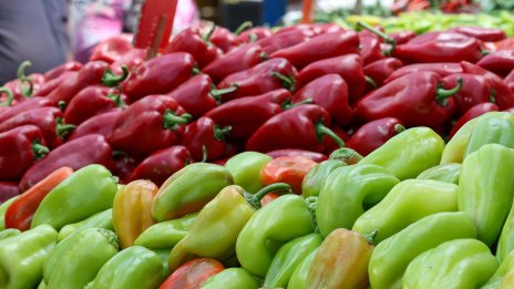 На борсата: Пресните зеленчуци поскъват, най-много чушки и корнишони