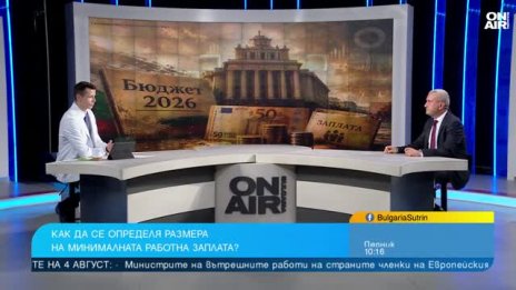 Иван Кръстев: Отмяната на механизма за МРЗ е сериозна грешка
