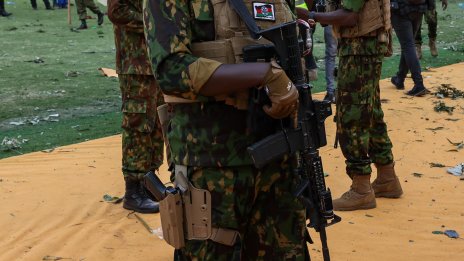 Арестуваха мъж, опитал да изнесе от Кения над 2200 живи мравки в багажа си