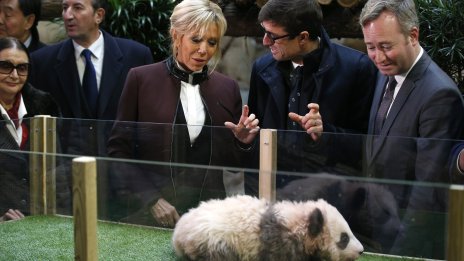 В Китай: Брижит Макрон посети гигантска панда, родена във Франция