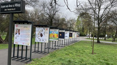 Фондация "Ани и Явор" открива изложба, посветена на пътната безопасност
