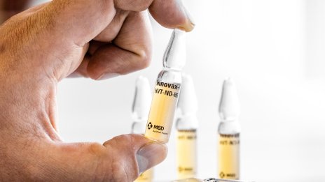 Хоспитализираха американец с щам на птичи грип, неоткриваем досега при хора