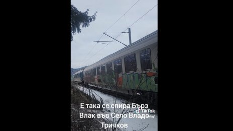 Хулиганство: Мъж умишлено спира влак край Владо Тричков