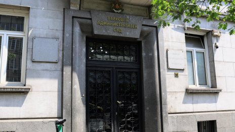 Мариника Чернева ще ръководи временно ВАС