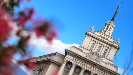 Само сигнал или истина: Има ли публичен дом срещу &ldquo;Партийния дом&rdquo;?