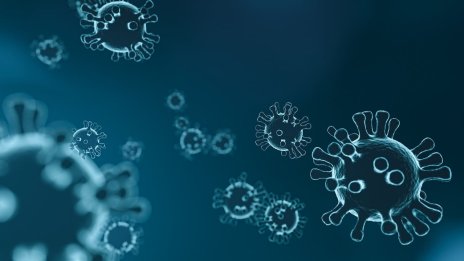 Салмонела и чревни инфекции плъзнаха по морето