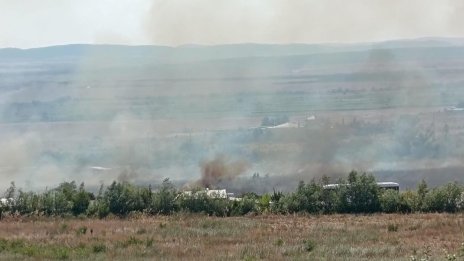 Овладян е пожарът към местност Петрова нива в Странджа