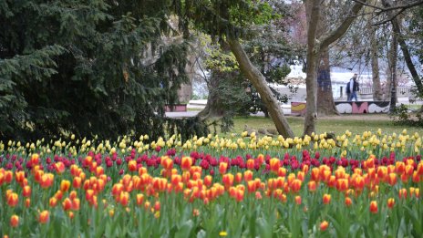 Слънчево ще е времето на Цветница, температурите до 20&deg;