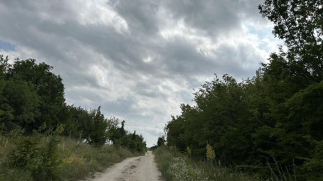 Шеф на зоопарк: Леопардът е решил да живее в платото, явно намира храна