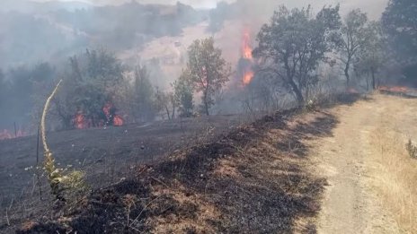 Голям пожар край АМ &bdquo;Струма&ldquo;, мъж е с тежки изгаряния