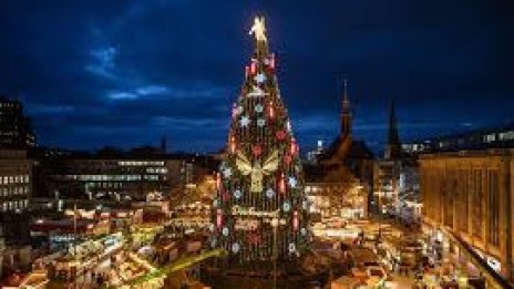 Къде се намира най-високата коледна елха в света 