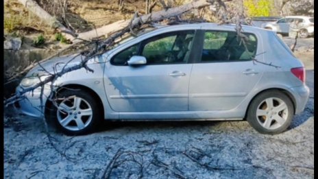 Бурните ветрове нанесоха материални щети, на места поривите са били над 100 км/ч