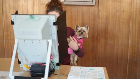 Избирателната активност у нас гони 40%