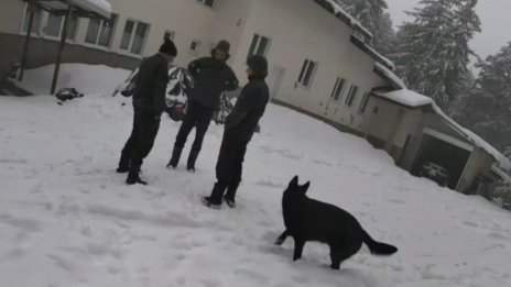 След погребението на Ивей: Прокуратурата освободи телата и на другите две жертви от х. Петрохан