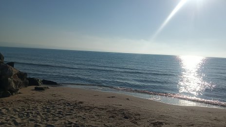  Черно море е най-бързо затоплящото се море в Европа
