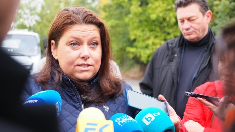 Цвета Николаева: Хората промениха навиците си, изхвърлят в цветните контейнери