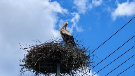 Слънчево и топло ще е днес, с температури до 25&deg;