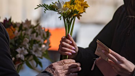 В кадър: Цветна палитра в навечерието на 8 март